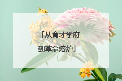 从育才学府到革命熔炉